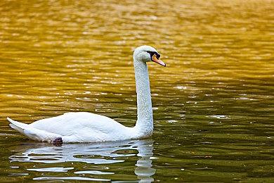 Keep联合SNK推出首款《拳皇97》联名健身课